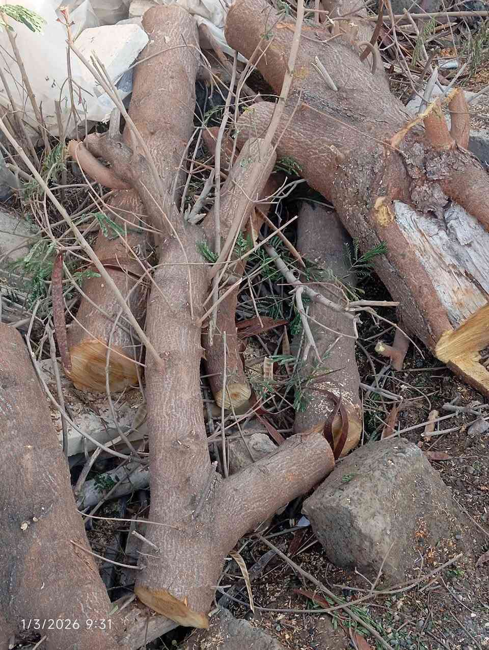 عندي خشب أشجار كالبتوس مكصوص ابيع تقريبا حمل كيا او اقل 
المكان قرية تل واعي


**إذا كنت صاحب هذا الإعلان وتريد حذفه لأي سبب، رجاءا أرسل رسالة إلى الدعم الفني**