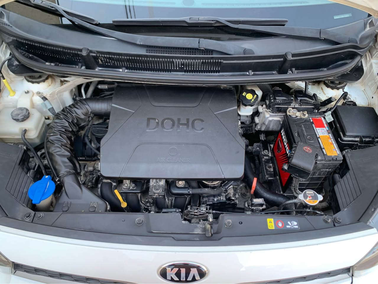 السلام عليكم
كيا بيكانتو موديل 2019 خليجي وارد الامارات رقم اربيل قديم سنويتها خلصت بشهر سابع كير ومحرك كفاله  بيها طعجه يم قبق البانزين وبارد بالجاملغ الامامي السياره عليها ادامه كامله بلكات جديده تخم تاير جديد باتري جديد دهن اصلي ليكومولي من شركه الجزيره العالميه  ماشيه ٦٦ الف مانع انزلاق حساس اطارات تحكم بالاناره الخارجيه لايت الامامي والخلفي عليه حمايه من الخدوش والتراب السعر 110 وبيه مجال
 البصره الصالحيه *********** البصرة, العراق
