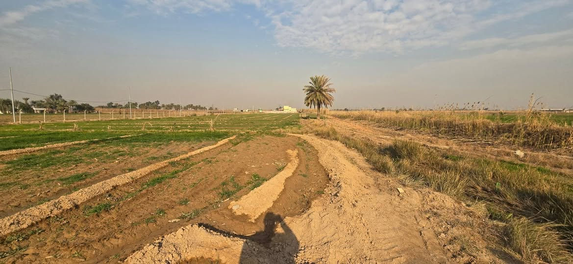 ‎دواﻧﻢ‎ بغداد, العراق


**إذا كنت صاحب هذا الإعلان وتريد حذفه لأي سبب، رجاءا أرسل رسالة إلى الدعم الفني**