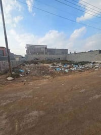 ابي الخصيب • أرض ٢٣٠م • سند ٢٥