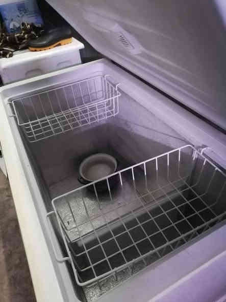 مجمده شغل اللبيع سعرا ١٢٥ بي مجال كركوك حي العروبه يم ملعب خومسي او وكف قديم حجم ١٤ قدم كل بلادي شركة مابي اي عيب شغال بل شرط ٧ايام ضمان
***********
*********** كركوك
