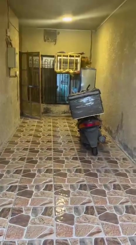 عندي بيت بحي المعلمين طابقين للايجار غرفه ومطبخ حار ومطبخ بارد 4نوم 2منه سويت حمام وغرفه مقابيل جامع البدوي للاتصال ***********مساحته 200 متر 750 بدل الايجار
