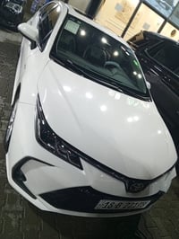 هايبرد • ٢٠٢٤ • كربلاء