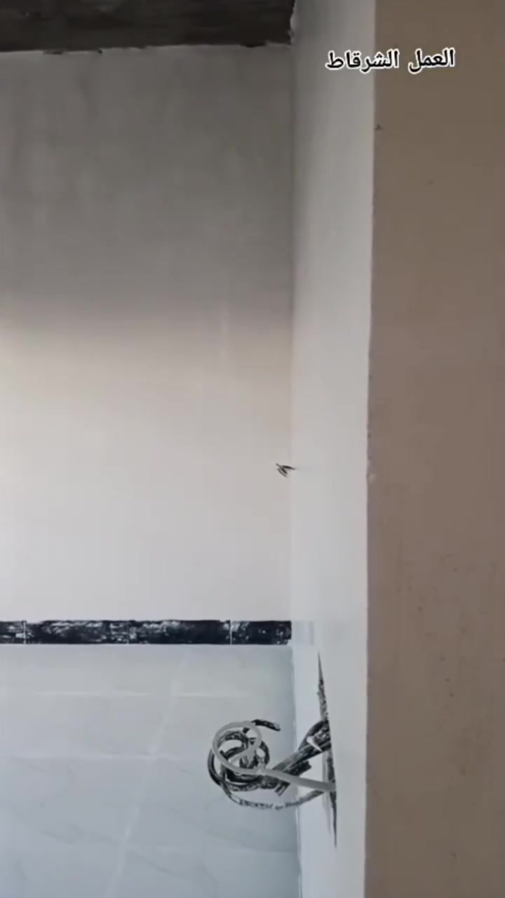 أسلام عليكم ورحمة الله وبركاته
📲‪***********‬  

 لباخ جص من الموصل كادر يتميز بسرعه ونظافه ودقه وتقان بل عمل شغلي مستمر منذ 7 سنوات والحمد الله شتقلت في كل مناطق الشرقاط وسديرات اي مكان تحب تشوف العمل اني حاظر وألي شغله جاهز او لم يجهز يتصل او يدخل خاص وحنه حاظرين ان شاء الله... والتوفيق للجميع ان شاء الله
