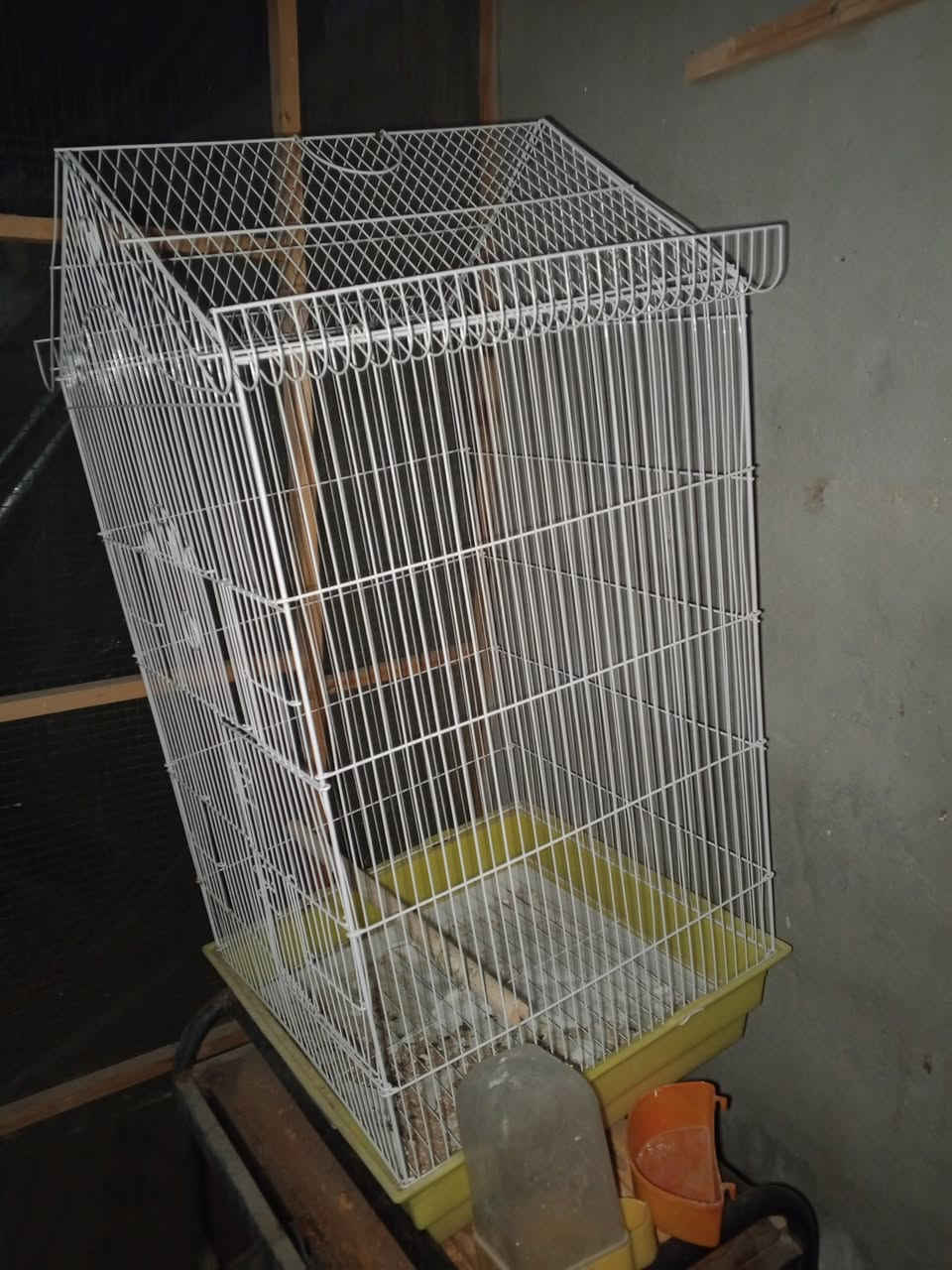 متاح 
اقفاصه وخانات ام الطير الابييض 60*40
لطيور الكوكتيلات وطيور الحب 
الشراي بي خير ويتدلل مكاني سنيه ***********
