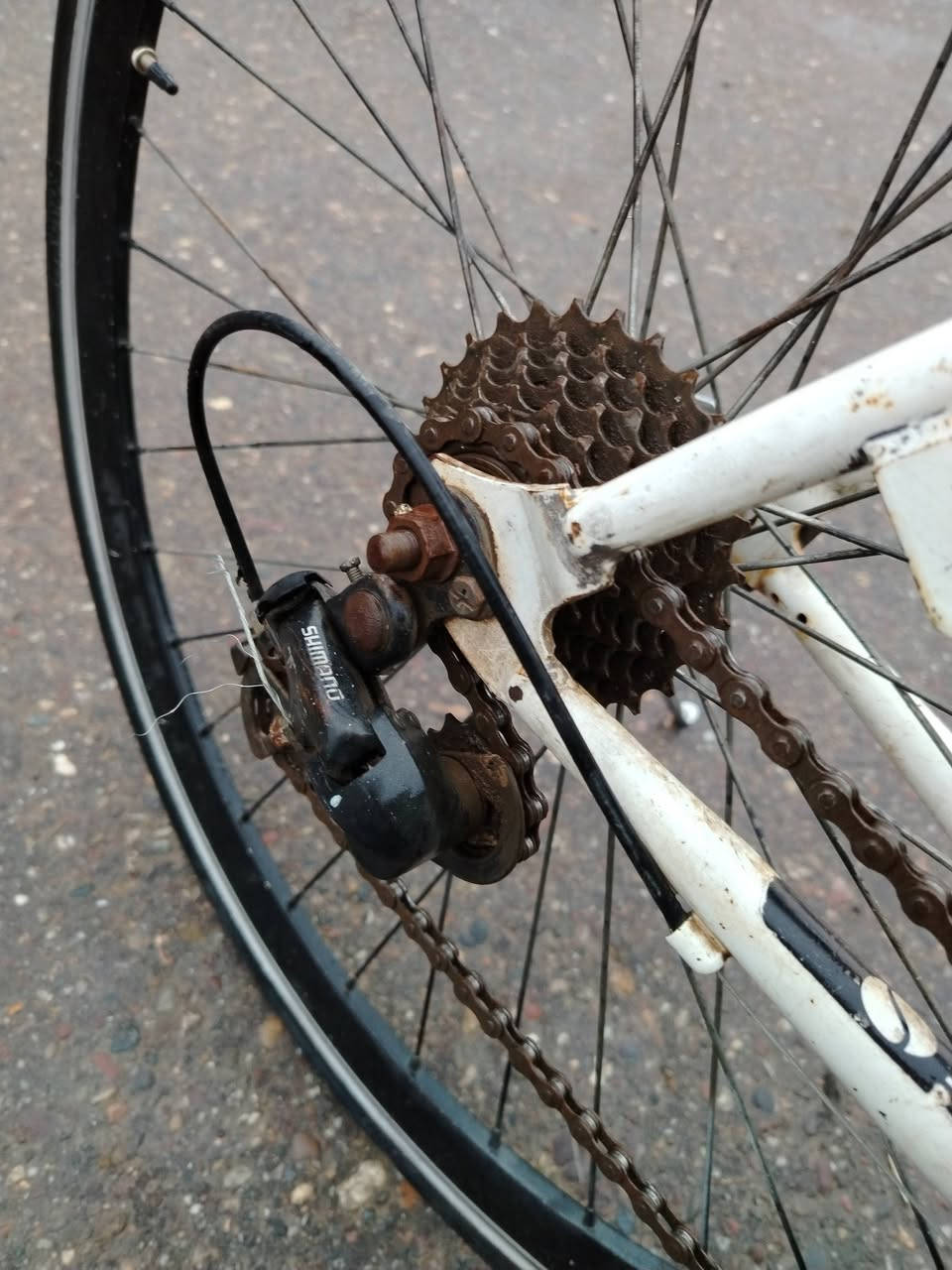 بايسكل للبيع من نوع C700 كير 3 امامي و 7 خلفي
الوزن خفيف جدا مصنوع من الكاربون فايبر

سريع وممكن يصل لسرعه 40 بسهوله
السعر 95 وبي مجال 
للاستفسار اتصل على رقم 6084 447 0785

او للتواصل على الخاص


**إذا كنت صاحب هذا الإعلان وتريد حذفه لأي سبب، رجاءا أرسل رسالة إلى الدعم الفني**