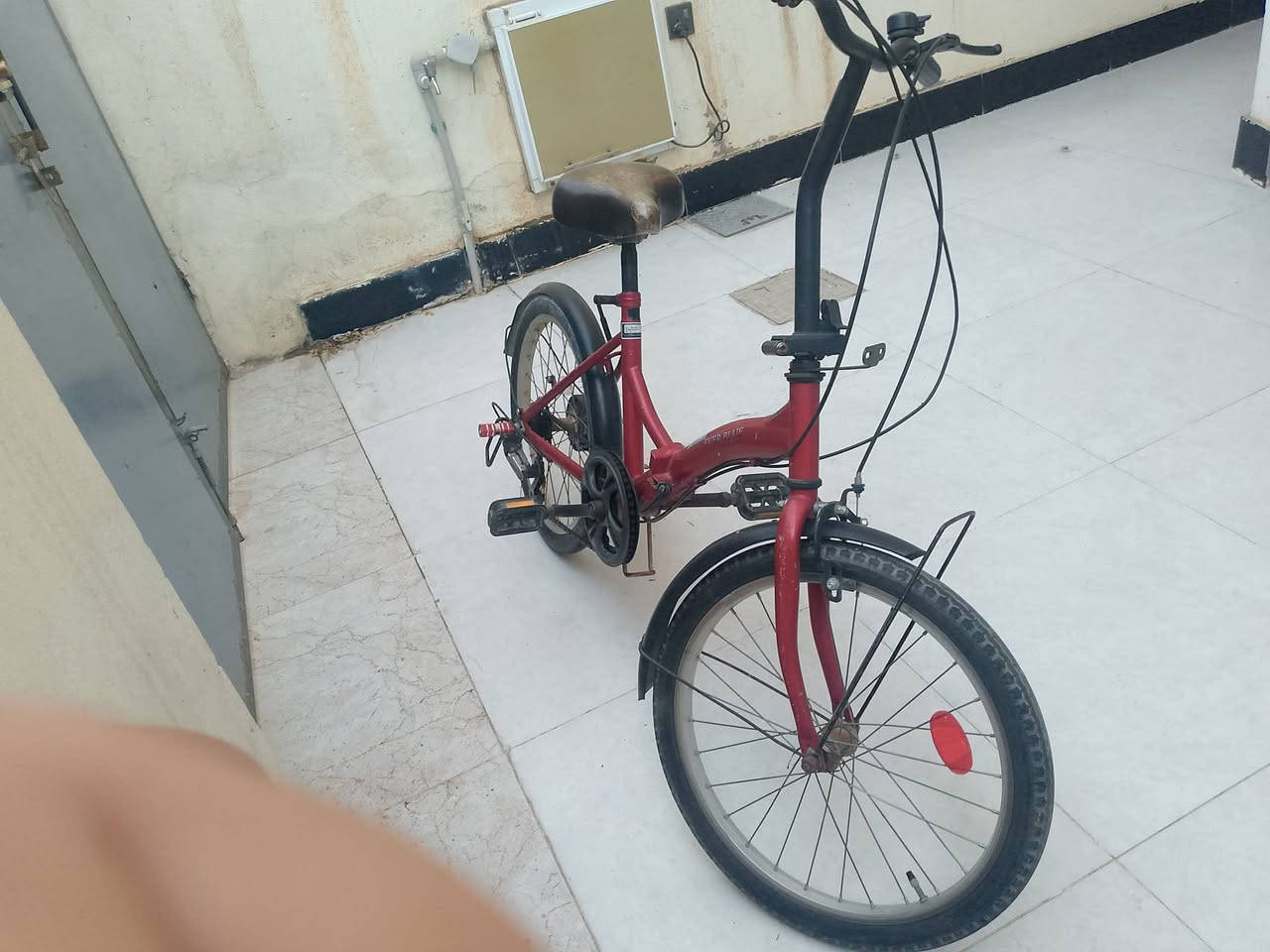 باسكل باله شرط نظافه حجم20 سعر60


**إذا كنت صاحب هذا الإعلان وتريد حذفه لأي سبب، رجاءا أرسل رسالة إلى الدعم الفني**