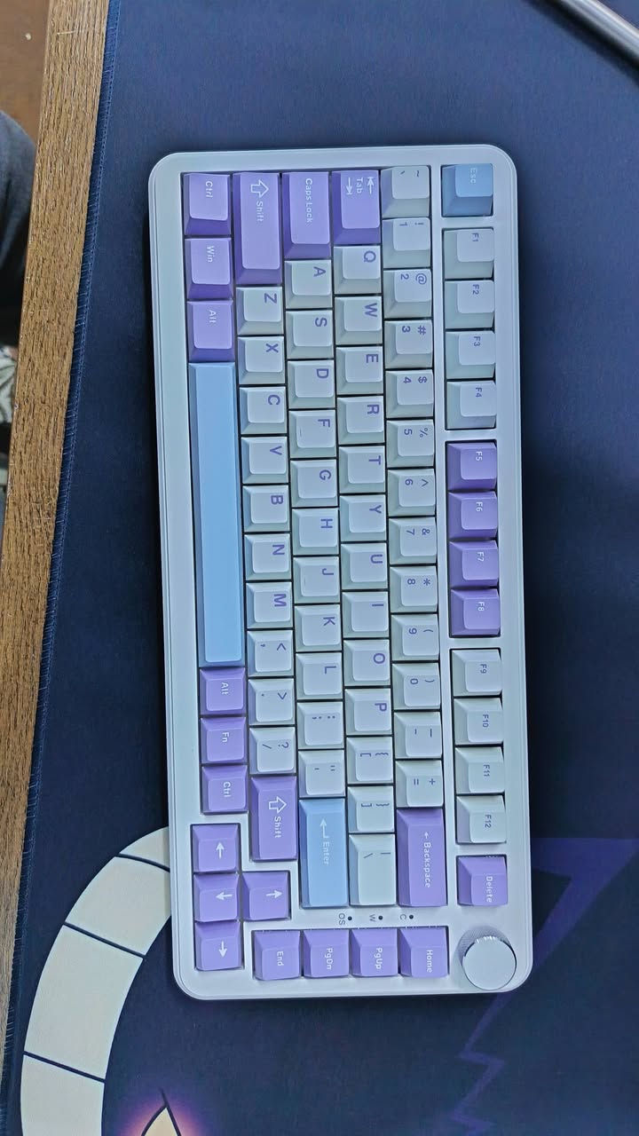 للبيع
ماوس اتاك شارك x3 مستعمل يوم واحد مع كارتونه والواير ماله وكامل ملحقات

كيبورد اجاز AK820 max HE مغناطيسي مستعمل اسبوع مع كامل ملحقات وكارتونه وكيبل
انطيني سعرك واليعجبني ابيع 
موجود توصيل


**إذا كنت صاحب هذا الإعلان وتريد حذفه لأي سبب، رجاءا أرسل رسالة إلى الدعم الفني**