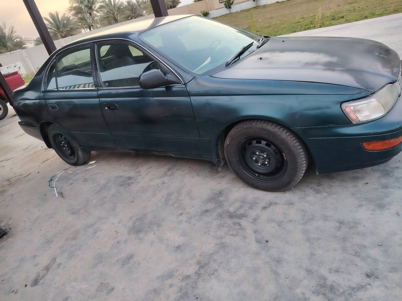 من رخصت مدير الكروب للبيع لاتعبني اذا موشراي
