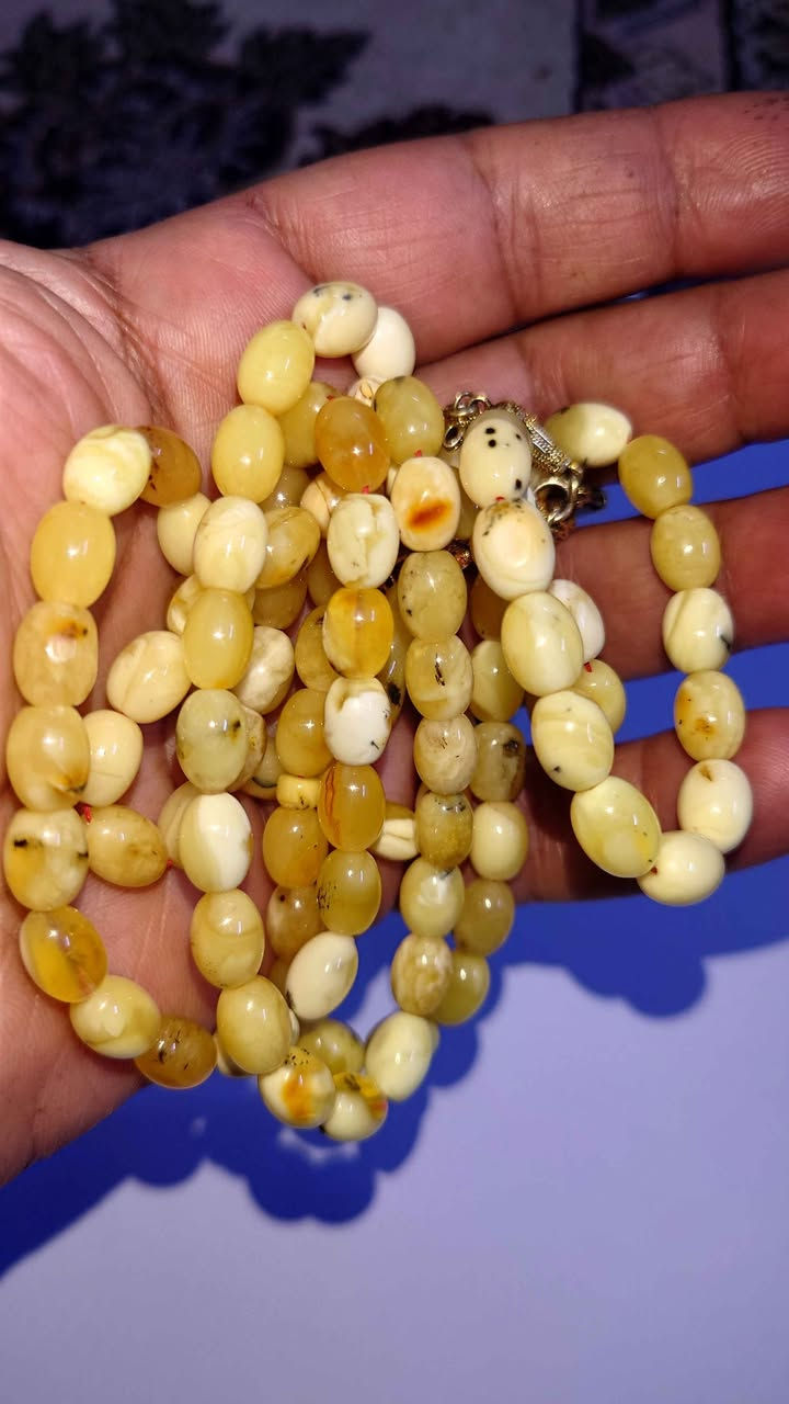 سبحة كهرب أصلي طبيعي كركوشة فضه 101حبه السعر 130الف العنوان بغداد زعفرانية الهاتف *********** بغداد, العراق
