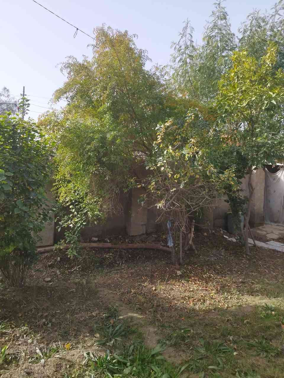 دونم طابو زراعي سند منفرد فورا مداور مع دار للبيع بناء 300 م واكثر اربع غرف نوم مطبخ حمام  تواليت صاله استقبال عكاده وكونكريت نضيف ساكنين بي كبير جدا حديقه مقدمه الدار 200 م بستان يحوي 50 نخله نشو مع تال ومكتوم كم وحده 100 حمضيات مع تين واجهه 17 م على شارع عام مقابل مدرسه العقيده فرع مبلط رئيسي 50 م تقريبا اسواق مجمع طبي مدارس كهرباء طوارئ ماء فول ساحه مقدمه دار مع تبليط الطبر السهر 110مليون مع المجال يرهم مراوس بيت طابقين اربع غرف نوم حديث موقع منتاز كربلاء المقدسه او طوريج للتواصل مع مكتب الجراح للعقار جمعيه طوريج ***********
