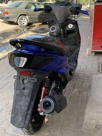 سكنس فحل • مراوس • بوشه ٥٨