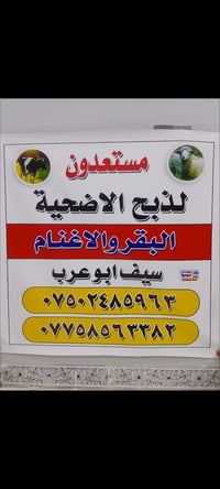 حجز • استفسار • واتساب
