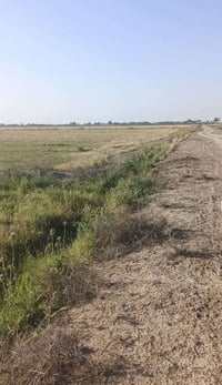 البيع 50دونم سبع البور منطقت المصالحه وطجاج ماء وكهرباء متوفر عل طابو ...