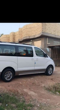 تخم وياله كروم للبيع أو مراوس بوياله vlp   07756163177