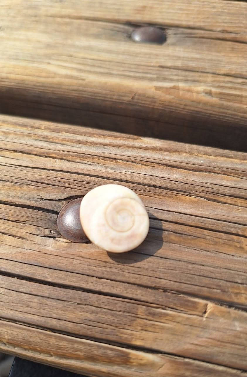 السلام عليكم
شباب المجموعه كلها للبيع او المراوس شنو عندك دزه خاص 
المكان البصره


**إذا كنت صاحب هذا الإعلان وتريد حذفه لأي سبب، رجاءا أرسل رسالة إلى الدعم الفني**