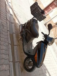 فراشه • شغال • كوفه