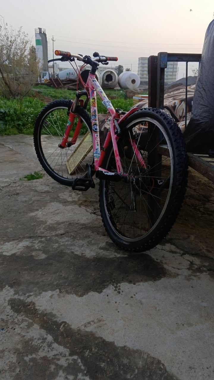 بايسكل للبيع
مكان ابو الموصل اريد يجيني خاص 90


**إذا كنت صاحب هذا الإعلان وتريد حذفه لأي سبب، رجاءا أرسل رسالة إلى الدعم الفني**