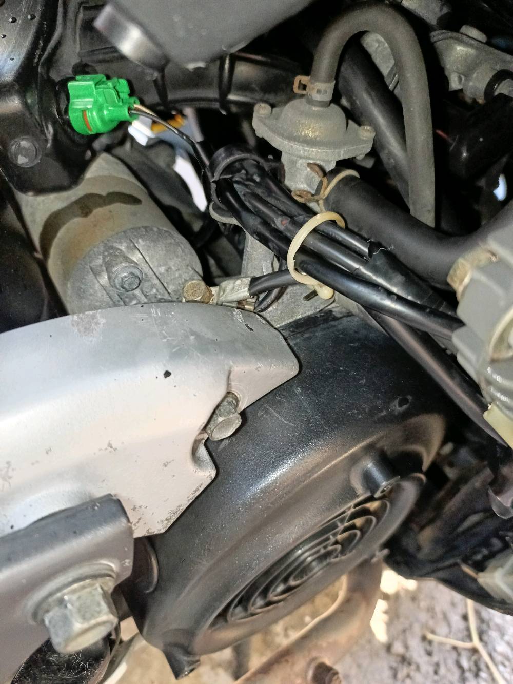 دراجة سكنس فحل نوزل مال رمبة مكفولة كفالة عامة 
العنوان
بغداد
