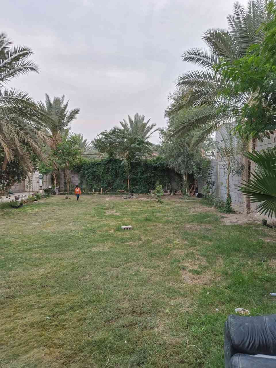 للبيع المستعجل ومناسب جدا قطعة ربع دونم 650م مع بيتين في كربلاء الرشيدية سند 25 قرب اسواق علي الطائي عن الشارع التبليط 100م فرع ابعرض 8  السعر 125مع المجال للاستفسار *********** / *********** نستقبل جميع العروض في كربلاء
