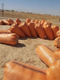 يوجد تبن للبيع شلفان عرض 80وارتفاع 120 تبن  نضيف مال حنطه مو مال  شعير...