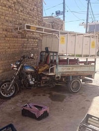 رقم انكليزي • راعيه • للبيع