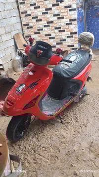 فراشة • للبيع • خاص