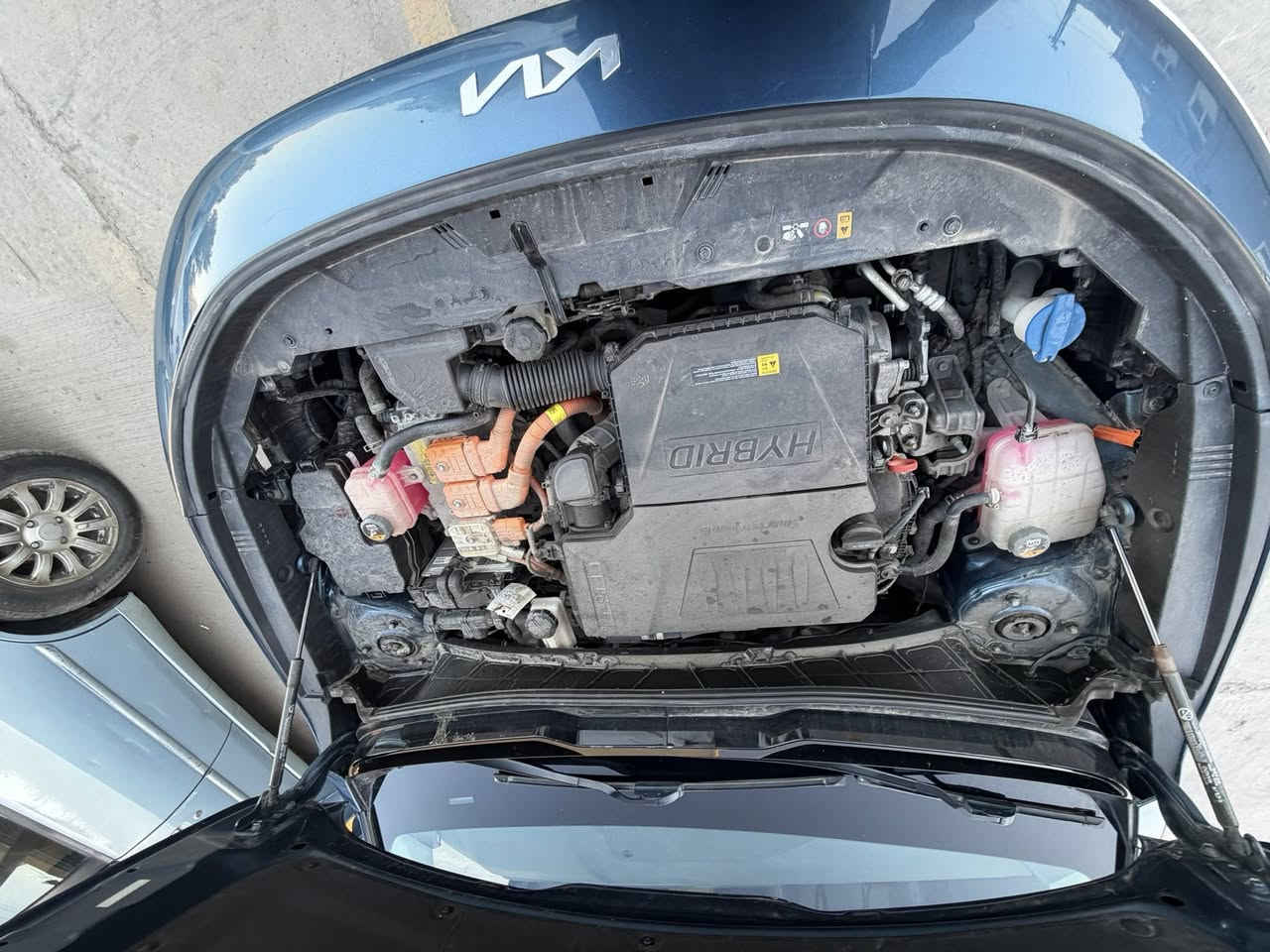 كيا نيرو 2023سعر 145$
وارد أمريكي – مرقمة بغداد – 

تريد سيارة صرفها قليل جداً ومواصفاتها فل؟

كيا نيرو هايبرد 2023 خيار عملي وعصري، بحالة ممتازة جداً، لون أزرق مميز، نظافة عالية واستخدام خفيف.

🚗 محرك 1.6 بنزين + موتور كهرباء

⚡ قوة تقريباً 139 حصان

⛽ صرف اقتصادي جداً (4–5 لتر لكل 100كم حسب القيادة)

🔄 تبديل أوتوماتيك 6 سرعات DCT

الحادث: خلفي 

المواصفات:

✔ شاشة كبيرة + عداد ديجيتال

✔ بصمة تشغيل + بصمة أبواب

✔ فتحة بانوراما

✔ دخول ذكي

✔ نظام Eco / Sport

✔ مثبت سرعة

✔ رادار أمامي + مانع تصادم

✔ محدد مسار + تصحيح مسار

✔ نقطة عمياء

✔ كاميرا خلفية + حساسات أمامية وخلفية

✔ Auto Hold

✔ شاحن وايرلس

✔ كراسي جلد ومخمل + تدفئة

✔ إضاءة LED أمامية وخلفية

✔ شفتات على الستيرن

✔ نظام صوتي مميز + بلوتوث + USB

سيارة مريحة وهادئة، مثالية للاستخدام اليومي داخل بغداد، وتوفر عليك فرق كبير بالمصاريف مقارنة بسيارات البنزين.

الموقع: بغداد – الدورة الجادريه 

الرقم : ***********////////***********

اتصال واي استفسار اني حاضر
