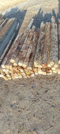 قالب خشاب روسي • تارس ٢٥ • سماوه