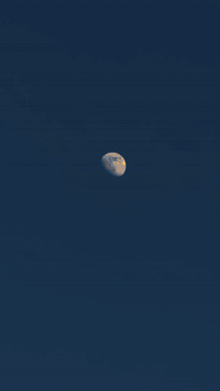 لە ڕێی پەیوەندی کردن بەم ژمارە
تەلەفونەوە دەتوانن زانیاری تەواو وەربگرن
🔻🔻🔻🔻🔻🔻🔻
☎️: ***********

#foryoupage #aqarat #realestateagent #realtorlife #Sarmadrealtor
