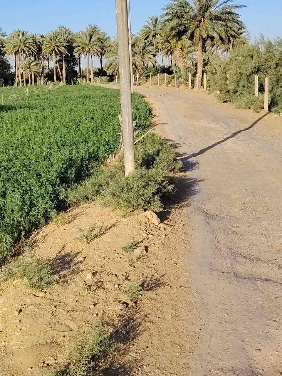 قطعه أرض زراعيه  للبيع في منطقه الحجر خلف بستان الحاج سريسح مقابل  ديوان الشيخ شوكت الكيلاني مساحتها ٣٦٢٥متر مربع بواجه ١٢٠ متر طول وامامها شارع عرض ٧ متر والسعر ١٤٥ مليون قابل للتفاوض وللاستفسار الاتصال بالارقام
*********** عمر محمد
*********** محمد أبو مروان
