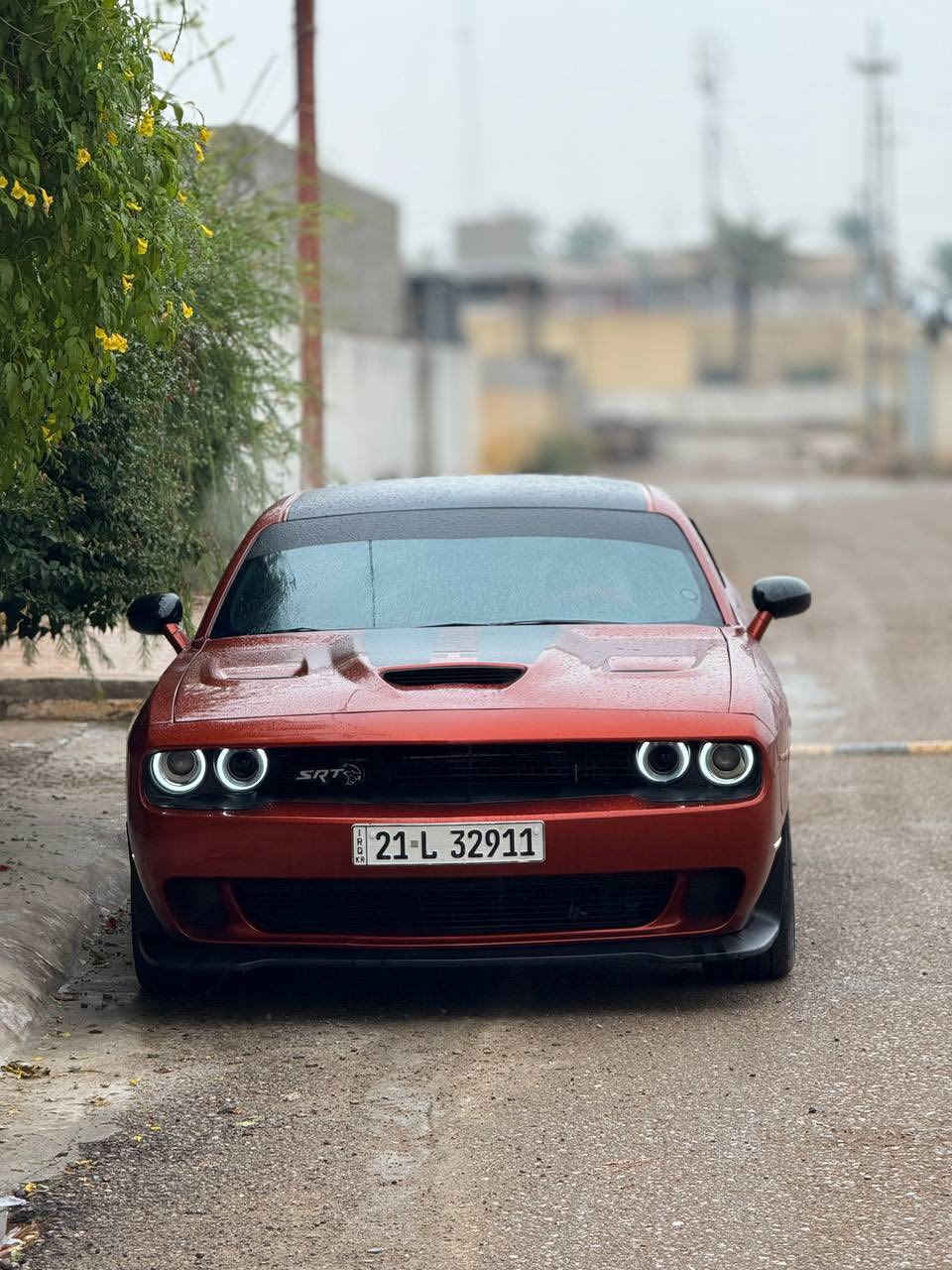 اللهم صلى عل محمد وال محمد 

دوج جالنجر 2021  ارتي 5700 رقم سليمانية 
ماشية 70 الف 
بدون ايرباك 
تحويل ثاني يوم 
لون مميز السياره مو مثل اي ارتي عليها برمجة مرواح وكت اوف وبك فاير  وكامله مكمله  وغرفة السيارة مشمشي مشتغليها بدبي متصرف ربع عليها 
برمجة الشاشه والكيجات هليكات 
السيارة بدون داوخل لا شاصي ولا لغود 
تخم تاير جديد 
بلكات ريسنك 
ولف حماوة ريسنك 

قطعتين صبغ جامولوغ جهة السكن وبنيد وجامرلوغ السايق مباوك عليه  

السعر (177 ) بيها مجال بسيط  عنوان ديالى 
متواجد واتس ***********
