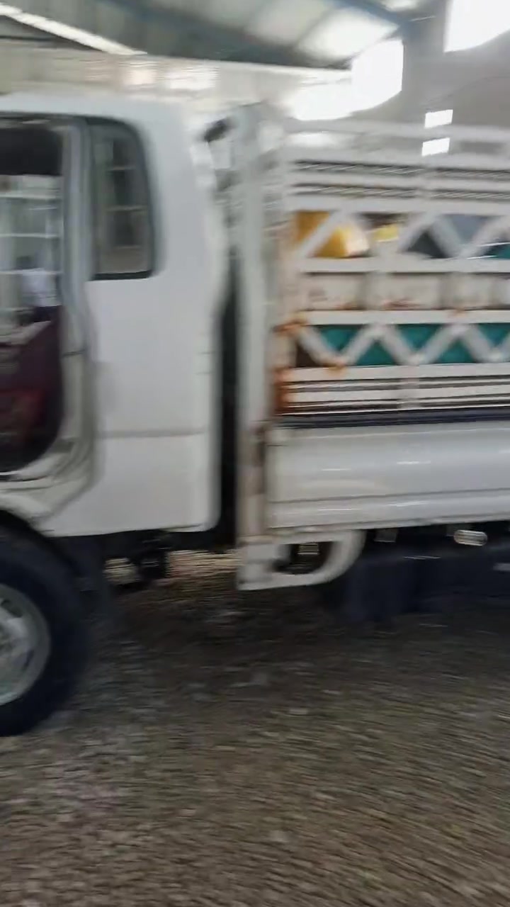 السلام عليكم
كية حمل فحل للبيع رقم بابل 
مديل 10 راعيها ميت قاصر واحد 
تواصل رقم هاتف.  ***********وتساب
