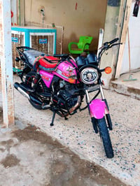 سكنر • اوراق • ٢٠٢٤