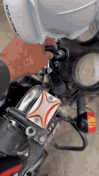 دايون 2021 • 200cc • أوراق أصلية