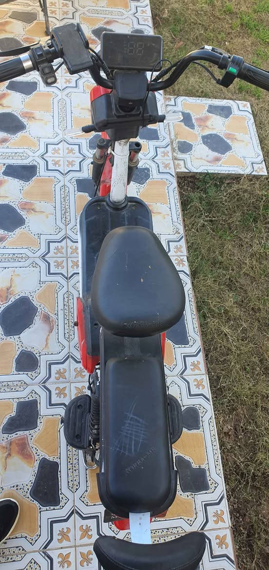 حجم ١٤ 
السعر ١٠٠ الف كركوك, العراق


**إذا كنت صاحب هذا الإعلان وتريد حذفه لأي سبب، رجاءا أرسل رسالة إلى الدعم الفني**