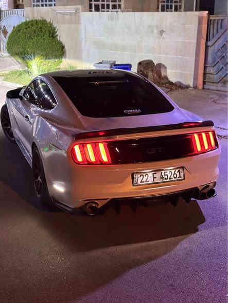 الصلاة على محمد وال محمد) 🤍
الماكو اختها لحد هسه  بــ العراق كله 
موستنك 2017 (pp3) white edition two colour
gt (5.0🐎🔥)
(كير عادي)📌
manual 🕹️
هذا الحنطور مميز🤍
السياره تجي لونها ابيض (صدفي) وقماره اسود بلاددد
السياره مو اي جيتي 
تجي بلاد من الشركه هيج 
حشوه مكينه بلاد تختلف 
كلج مكلاود بلاد 🕹️
مقاعد بلاد ريكارو 🔥
شورت شفت 
كيجات بل دشبول 
ماشيه 72 الف مايل 
-------------
السياره كير مكينه كلج بلادي برغي ممفتوح منهم كلهم وكلشي مذكور بلاد واصل 
السياره نقص برغي مابيها يشهد الله 
من حداديه ولايتات وتايرات وصبغ ويل 🔥
السياره حادثها فقط جاملغ السايق ونص البنيد
يعني السياره فقط قطعتين صبغ🔥🤍
السياره عليها وياله RTR اصليات حجم 19
السياره عليها دبات  🔈 ريمونت

للاستفسار-  
مكاني بغداد حي الجامعه 
***********
 
 
السعر بلاش 167 وبيها مجال 🔥
السياره ناصبه وتخبل وبل خير على الياخدها 🤍
اذا عجبتك السياره اذكرلي كلمه طيبه😘 بغداد
