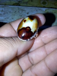 تحف الزمان السطوري متع نظرك ذمه مال معاتب وزماط وتحدي نقدم كل ماهو جدي...