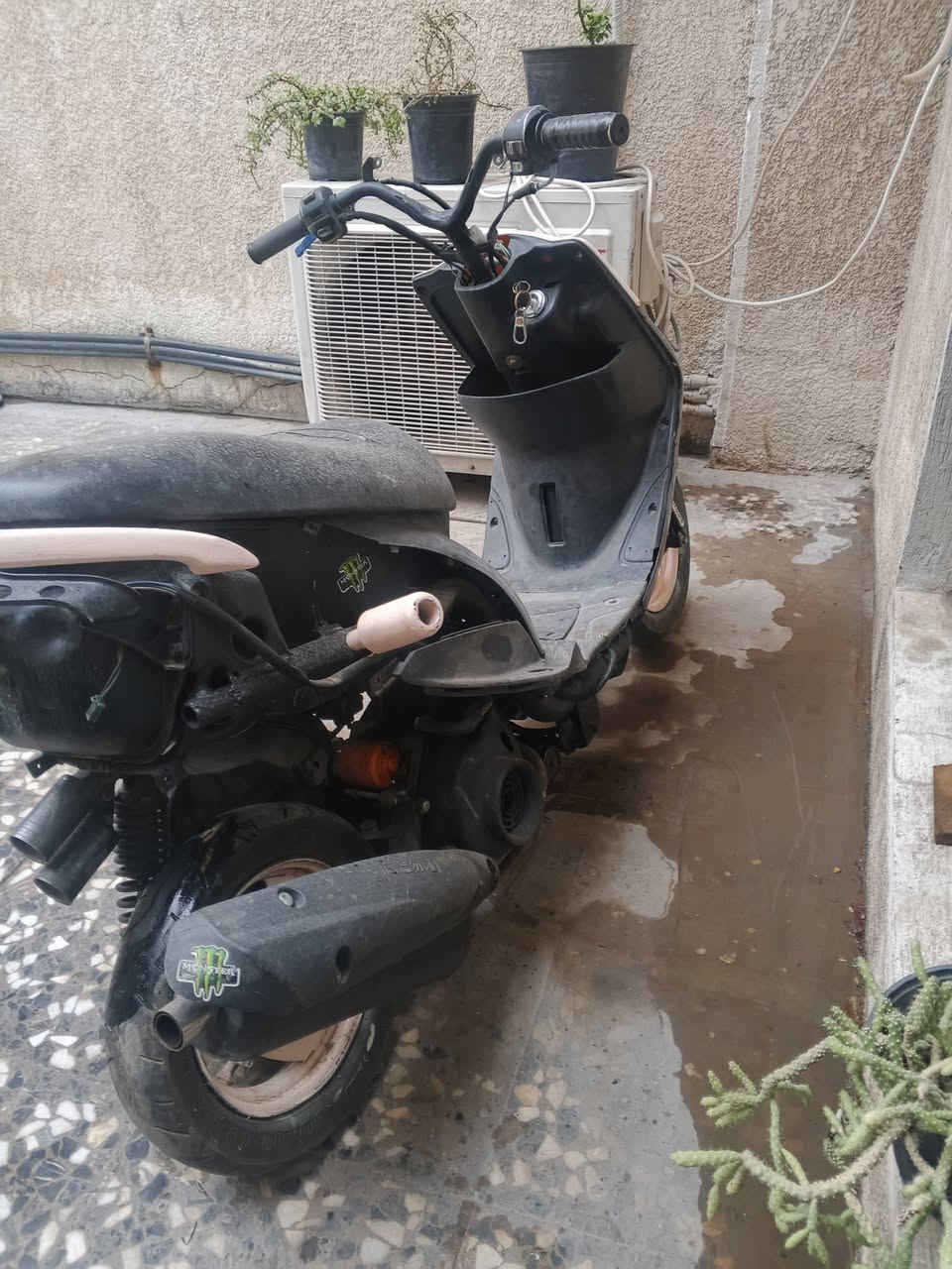 سلام عليكم  
ماكس عدله مال لعب 
لدراجه ابيع كوم حديد 
تجي تحمل وتروح 
سعر 200 بغداد عامريه 
***********تصال 
واتساب ***********
خاص مفتوح
