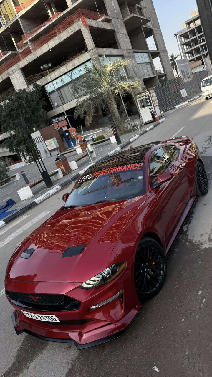 موستنك GT 2022 بريميوم تراك بكج Pp1
سلام عليكم فورد موستنك GT 2022

من فئات قليله بل عراق تجي كشنات ريكارو وسقف كنتار اصل من امريكا راديتر اكسل صدر ودبل كهربائي يختلف فجوج 6 بستم وليس اربعه نفس مال جي تي بقيه فولل اعلى شي تجي بل مواصفات

مكينه (8سلندر) 5000cc

كير اوتو (10)نمر

ماشيه(30 الف)ميل

مكان (بغداد-الحارثيه)

لون (كرزي مميز)

رقم تلفون (***********)

السعر (238ورقه) ومجالها كلش بسيط

رقم اربيل الجديد فحص هزة جديد وسنويه باسمي تحويل ثاني يوم يعني ما تحير بصوت اكزوز لو وشومات لن هزة جديده

سياره حادثها ربع جاملغ امامي وربع بنيد  جاملغ مبدل وكالة بدون معجون وبدون صبغ نفس لون

(قطعه وحده صبغ فقط بنيد) بدون دواخل كفالة من جكه الابره ايرباك راجع سستم لا راديتر لا مروحه ايشي يخص مكينه مواصلته ضربه نهائي وصور الحادث بل منشور

وساحب تقرير  كار فاكس مالتها  بفلوس ايضاً ما بيها اي حادث مسبق ب امريكا او غرق الي يحب راسلني واتس ادزهله تقرير

سياره كير مكينه اكسل كاردن صدرها بحالة الوكالة برغي ما مفتوح بيها بجم كبس البراكيته اماميه حتى ضربه مواصلتها

سياره من دخلت حد الان مسويلها ادامة وصيانه كامله بشركة  فورد القاصد دهن  وفلتر دهن و فلاتر شوته و تبريد كلة وكالة اصلي

دشبولها ماكو اي كلوب معتلك كله صافي

نجي على مواصفات فول 1/1

١- تشغيل عن بعد

٢- شاشة كبيرة sync 3 كار بلي

٣-اكتف اكزوز حسب المود تفتح بوابات(نورمال-سبورت-تراك)

٤-فجوج بريمبو 6بستم

٥-عداد ديجتال يتغير ثيم حسب المود

٦-دمام صوت بل صندوك وكالة

٧-تحديد مسار

٨-رادار امامي

٩-رادار جانبي(نقطة عمياء)

١٠-رادار خلفي

١١-حساسات خلفيه

١٢-كامرة خلفيه

١٥-ستيرن تدفئه هيتر

١٦-خمس وضعيات قياده(نورمال-سبورت-تراك)

١٧-ترحيب بل مرايه

١٨-هيترات بل مرايه

٢٠-سستم سماعات

٢١-لايت زنون ابيض من وكالة

٢٢-شعار الموستنك ضوئي من الابواب بلادي

٢٣-شعار موستنك ضوئي متغير بل دوسات بلادي

٢٤-كيجات تراك بكج (اويل برشر) و( فاكيوم) بل دشبول

٢٥-كشنات جلد

26-سترس بار فوك مكينه من وكالة
