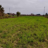 ارض زراعية • دونمين • قرب جسر الاشجان