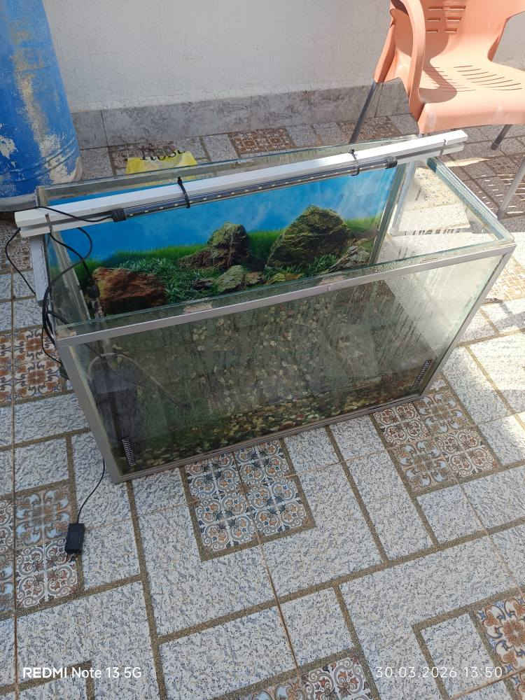 حوض سمك كبير مع اطار من حديد طول 80 سنتيمتر و ارتفاع 60 سنتيمتر مع ملحقاها ضوء وهيتر واحجار شتلات سعر 50 الف كركوك كركوك, العراق


**إذا كنت صاحب هذا الإعلان وتريد حذفه لأي سبب، رجاءا أرسل رسالة إلى الدعم الفني**