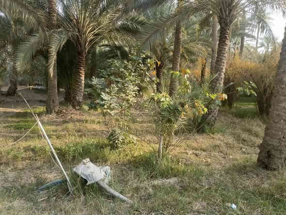 للبيع قطعه ملك طابو صرف المساحة الصافية 300 متر واجها القطعة 14 متر .الحسينية شارع الحافظ تبعد عن الامام 4 كيلو قرب مستوصف الحافظ سعر القطعة 82 مليون
للستفسار اكثر مراسله الصفحه او الاتصال علا الرقم
‏‪***********‬‏ فقط

يتم نشر القطع المضومنه قانونيا علا هاذ الصفحة
