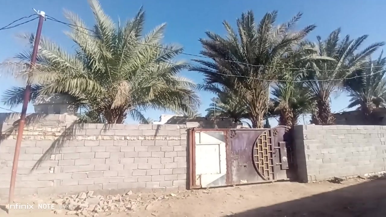 ياالله 
بيت للبيع المساحه 350 م ركن
طابو زراعي سند 25//يتكون من غرفتين نوم وصاله كبيره ومطبخ وحمام وصحيات واستقبال لنص حديقه جانبيه كبيرة مع وجود نخل حمال عدد 5 
توفر كافت الخدمات ماء گهرباء وخط مولد وانترنت ظوئي 
يبعد عن التبليط 50م 
العنوان ديوانيه نهاية الحي العسكري شارع 30 قرب حسينيه ام البنين 
السعر خاص وكلشي بل قسمه 
للاستفسار ***********و***********
