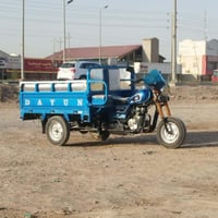 ستوته • موديل ٢٣ • كفالة عامة