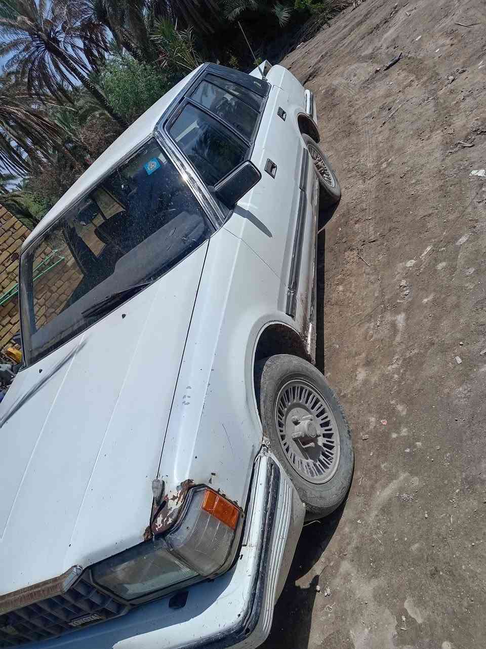 السلام عليكم رقم بغداد بها بطه بها بخار الوانها بالديوانيه السعر 32 حداد الزينه السعر  ***********
