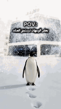 الجوهرة الرصينة… استثمار واثق، ومشاريع تصنع الفرق

زوروا موقعنا الكائن / بابل _ مدينة الامام القاسم _ بداية شارع أم عياش

ستجدون الاجابة لكل استفسار من خلال اتصالكم بالرقم الاتي /***********.
