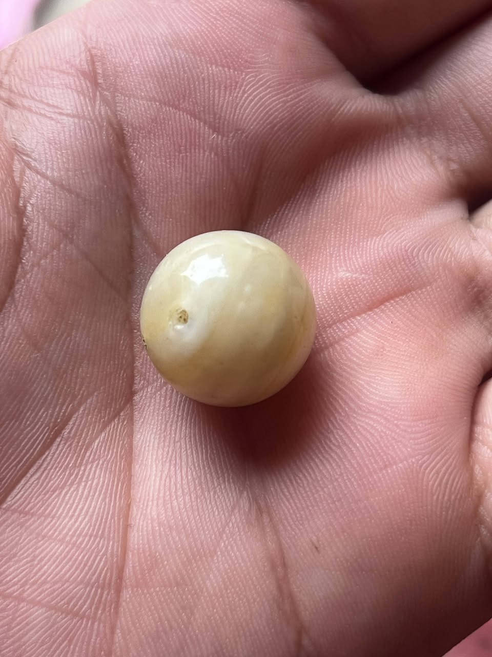 سلام عليكم  خرزه للبيع سليماني عطف


**إذا كنت صاحب هذا الإعلان وتريد حذفه لأي سبب، رجاءا أرسل رسالة إلى الدعم الفني**