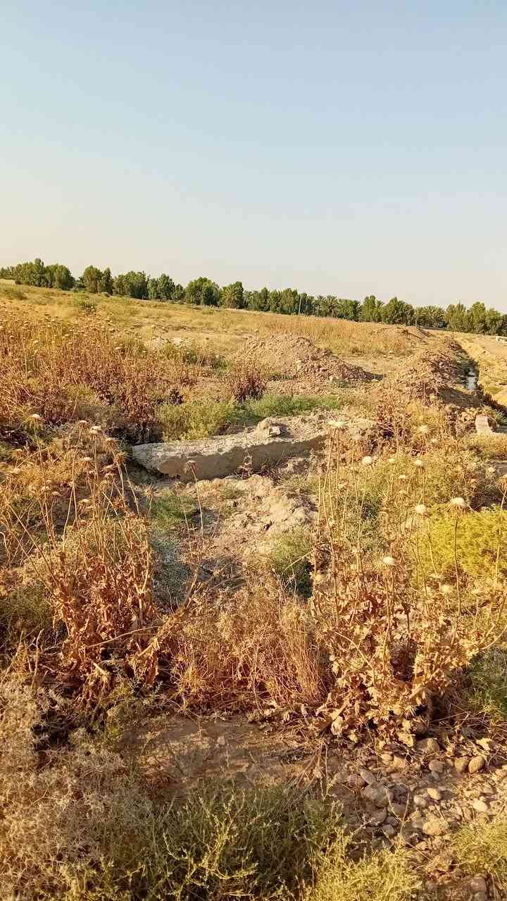 أرض زراعية ٢ دونم ونص للبيع في منطقة بابلان تبعد ٢٥٠م عن الشارع العام القديم للبيع ***********
