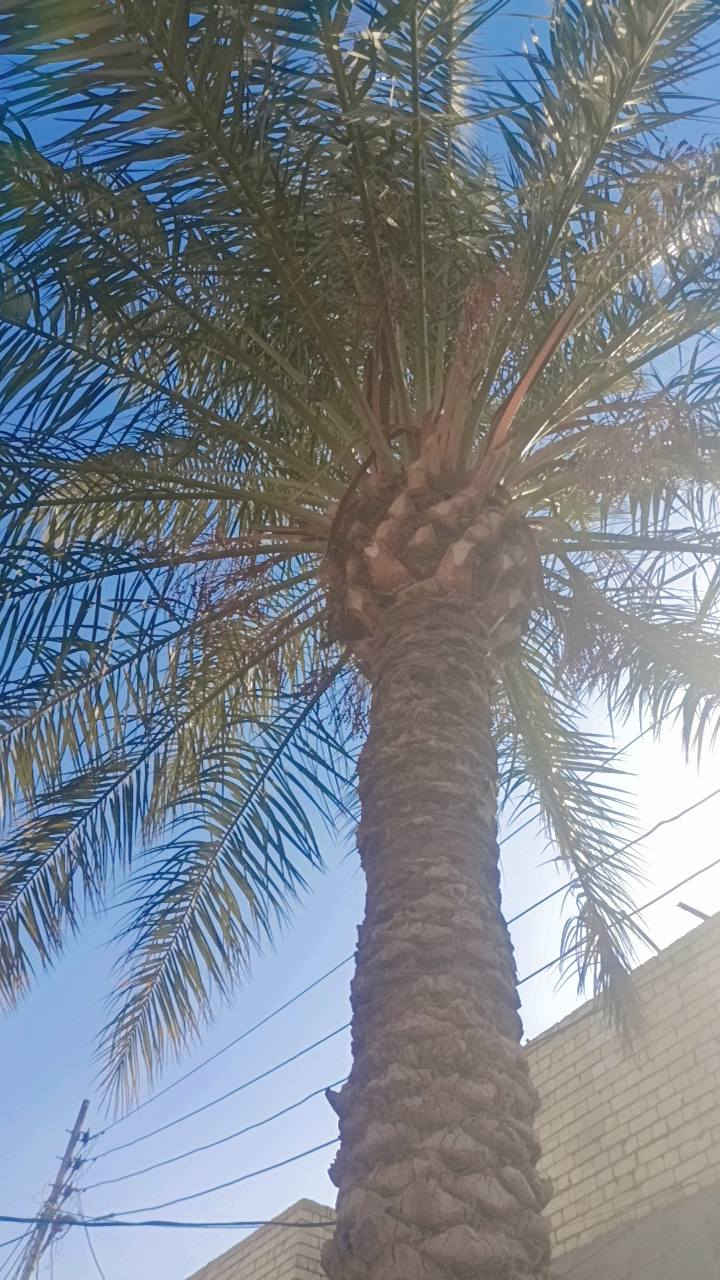 بيت للبيع في الباويه مساحه 170متر لاستفسار ***********
